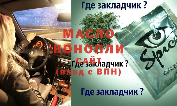 молекула духа Богданович