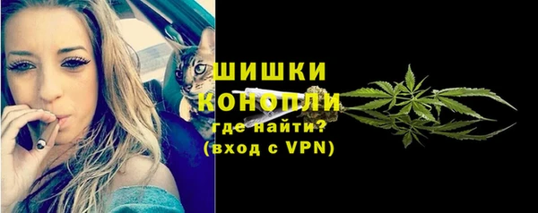apvp Белокуриха