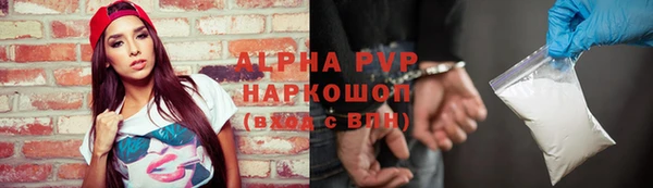 молекула духа Богданович