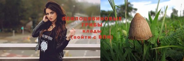 молекула духа Богородицк