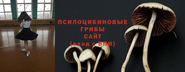 спиды Беломорск