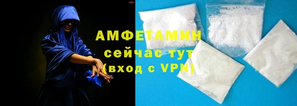 молекула духа Богданович