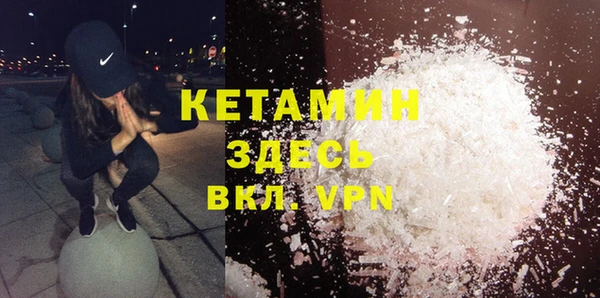 молекула духа Богданович