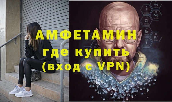 молекула духа Богданович