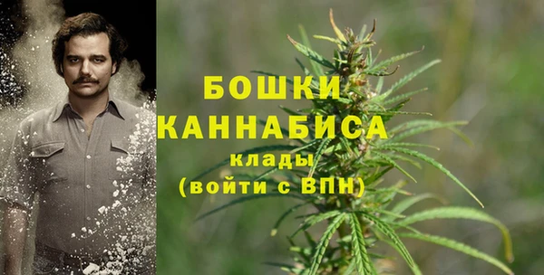apvp Белокуриха