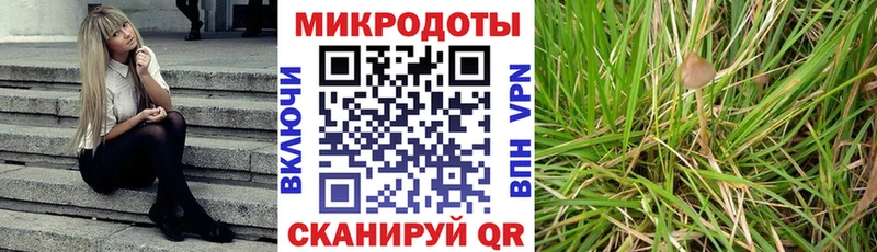 Псилоцибиновые грибы Cubensis  Краснотурьинск 